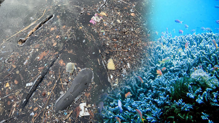 海洋プラスチックごみ問題について考える。個人、企業としてできる対策は？